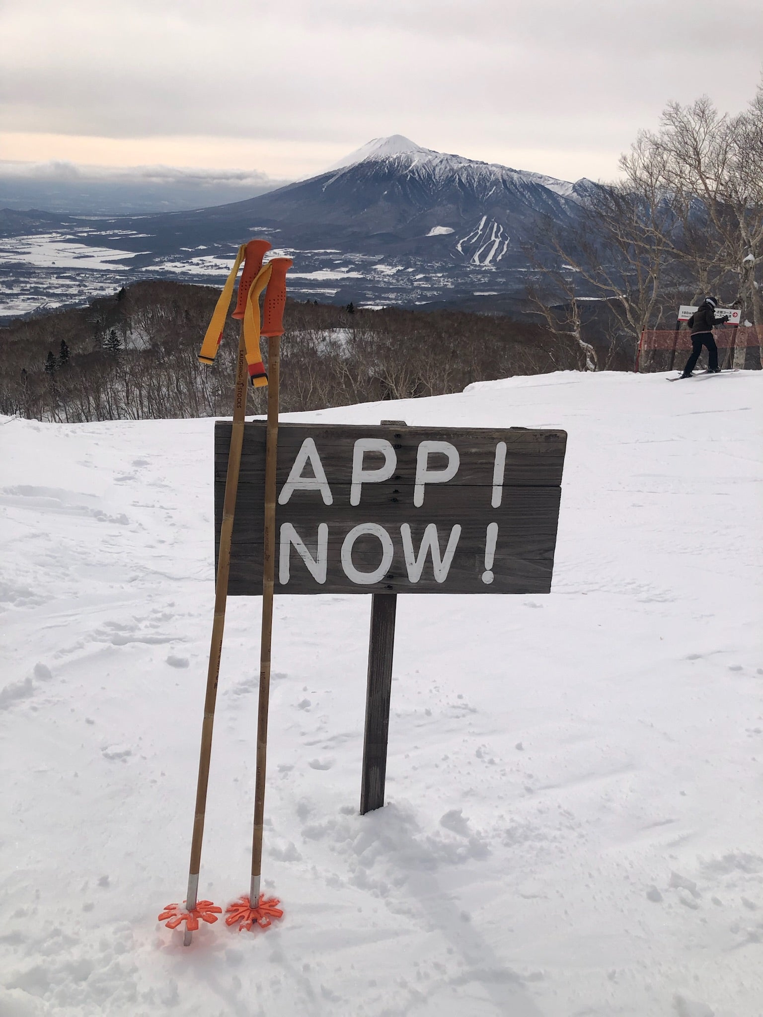 Bamboo Ski Pole Grips and Baskets