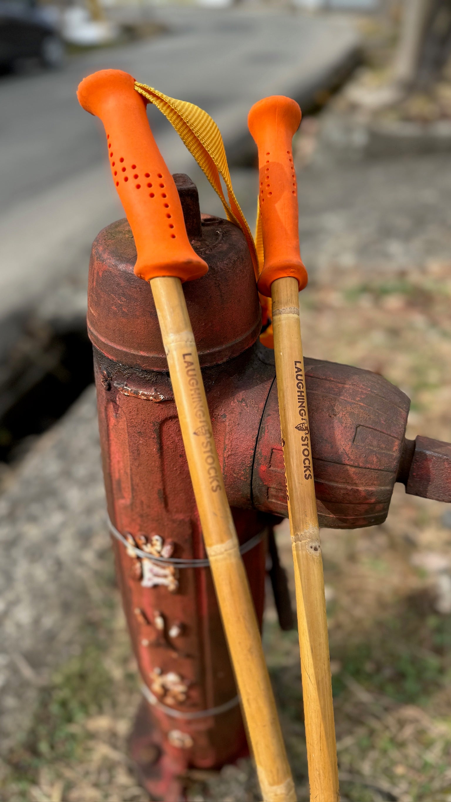 Bamboo Ski Pole Grips and Baskets