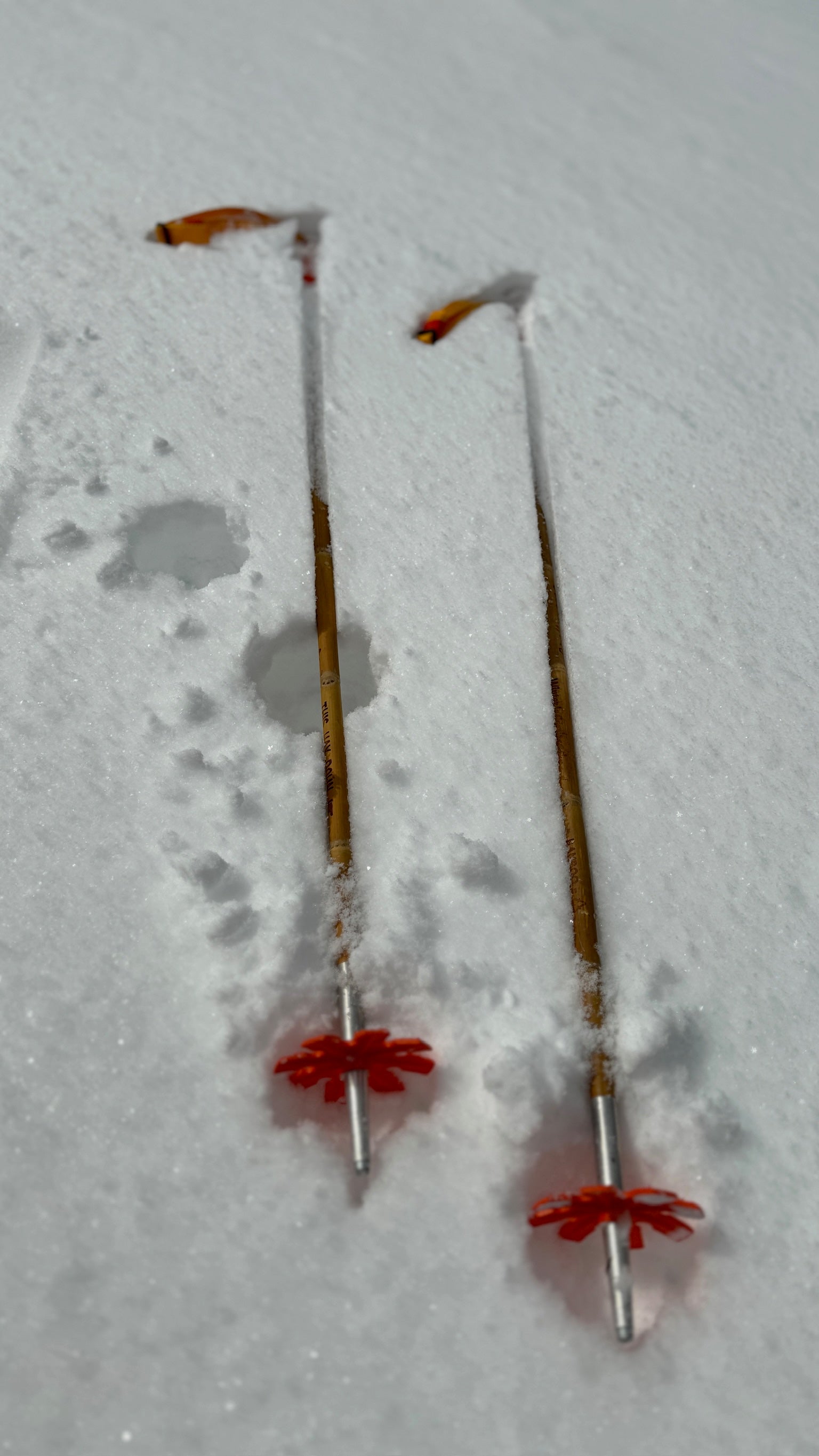 Bamboo Ski Pole Grips and Baskets