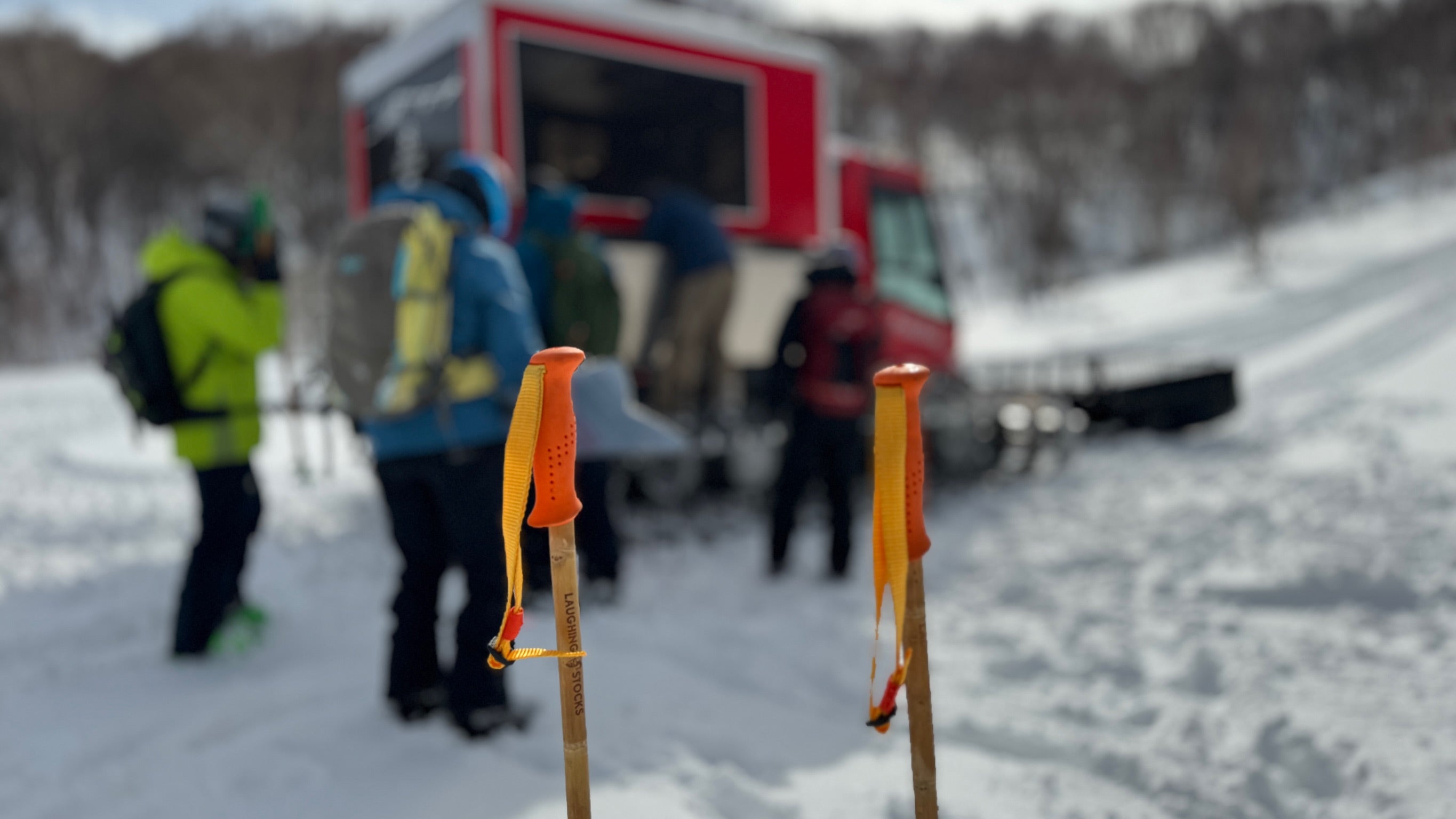 Bamboo Ski Pole Grips and Baskets