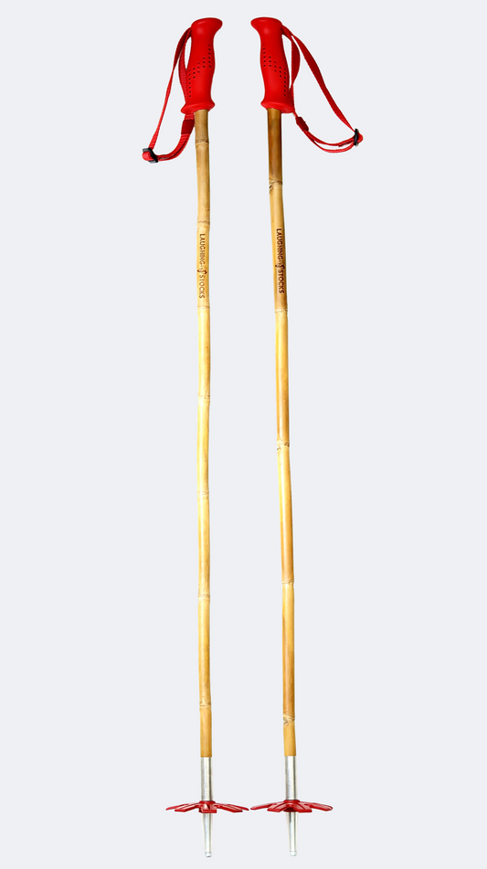 Bamboo Ski Poles